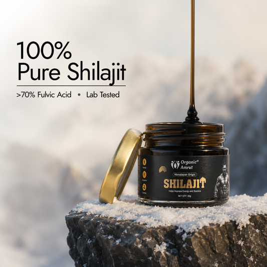 Original Himalayan Shilajit Resin 20g | 250mg per Serving | 80 Serving