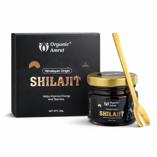 Original Himalayan Shilajit Resin 20g