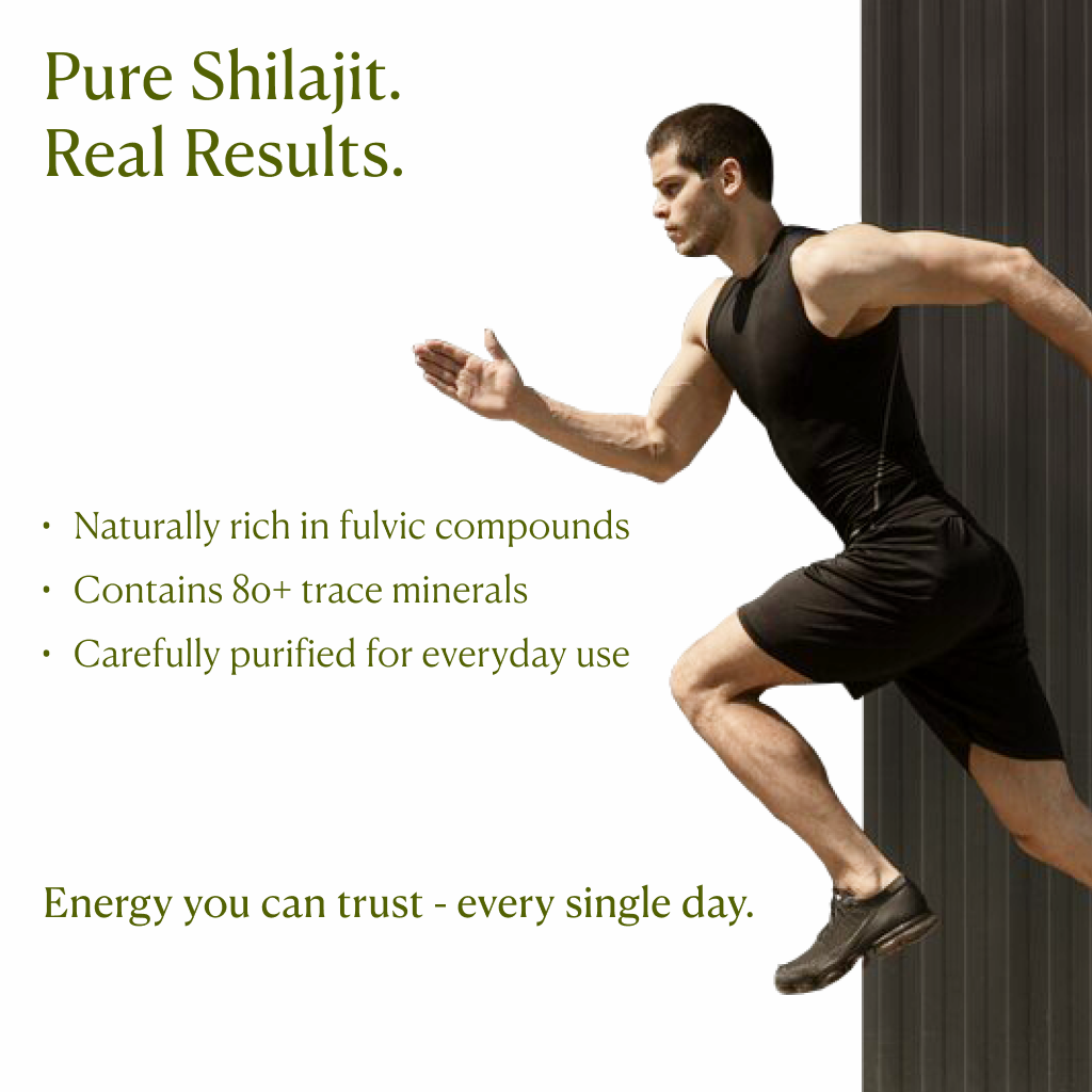 Original Himalayan Shilajit Resin 20g