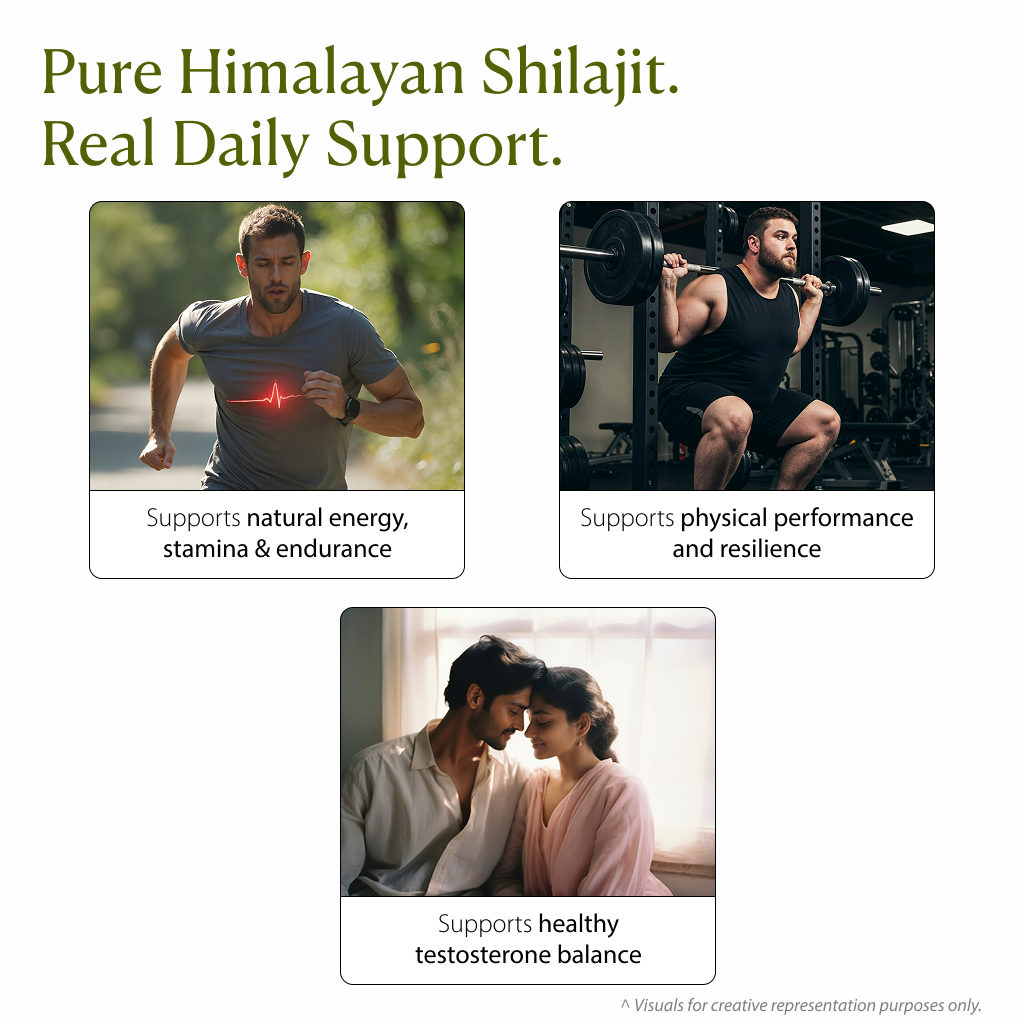 Original Himalayan Shilajit Resin 20g
